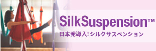 SilkSuspension